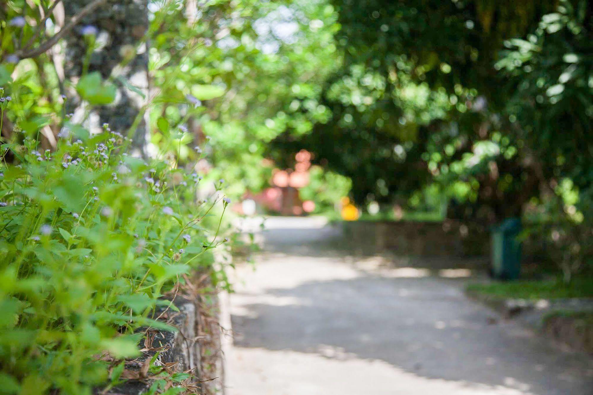 Koh Tao Garden Resort Kültér fotó